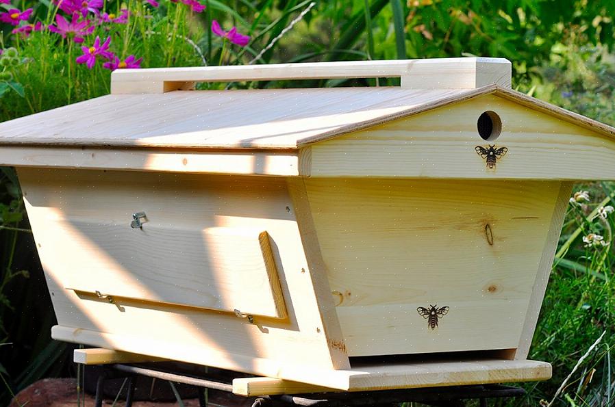 B&B Honey Farm myy mehiläispaketteja
